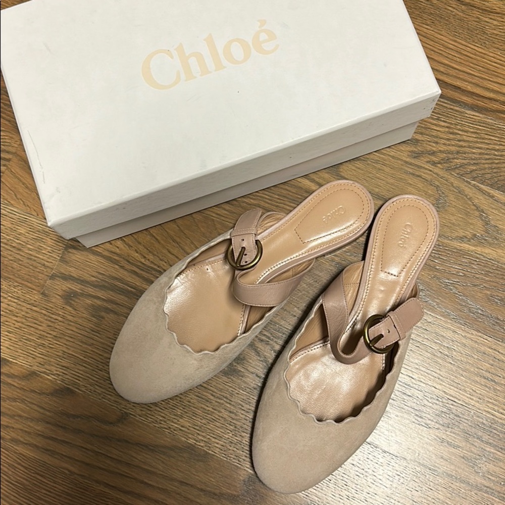 Chloe ballerinas
